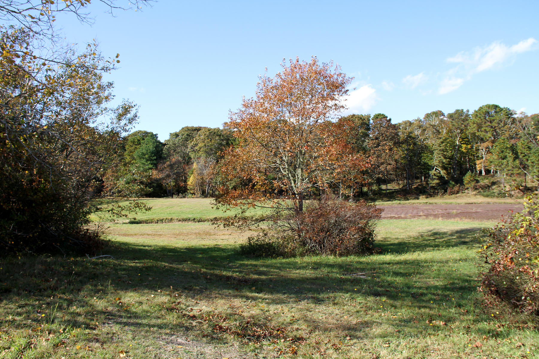 4 Cranberry Lane Mashpee, MA 02649 - Photo 15 of 16 IMG_6435