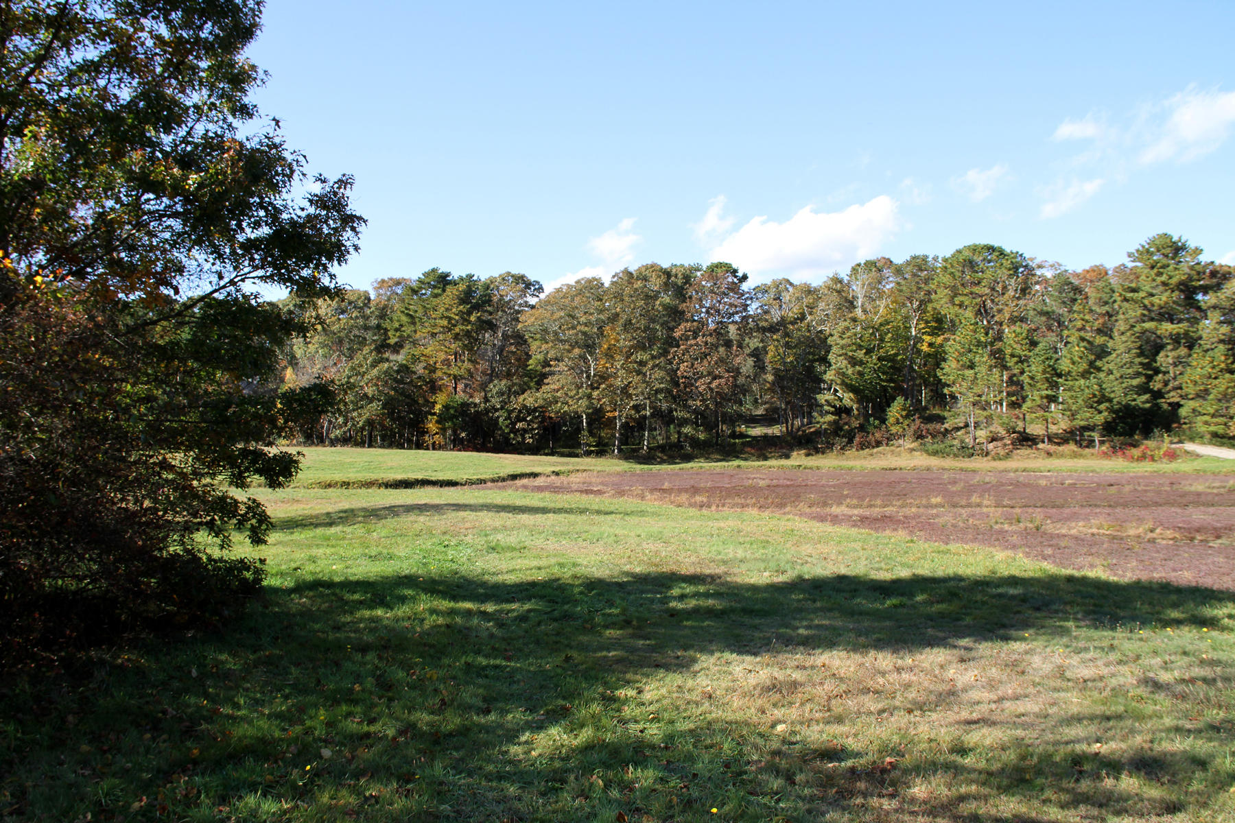 4 Cranberry Lane Mashpee, MA 02649 - Photo 16 of 16 IMG_6436