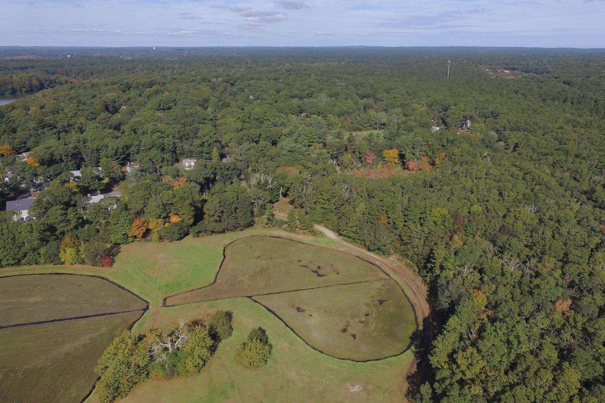 4 Cranberry Lane Mashpee, MA 02649 - Photo 6 of 16 14
