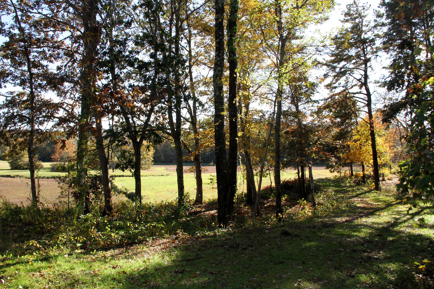 4 Cranberry Lane Mashpee, MA 02649 - Photo 9 of 16 IMG_6412