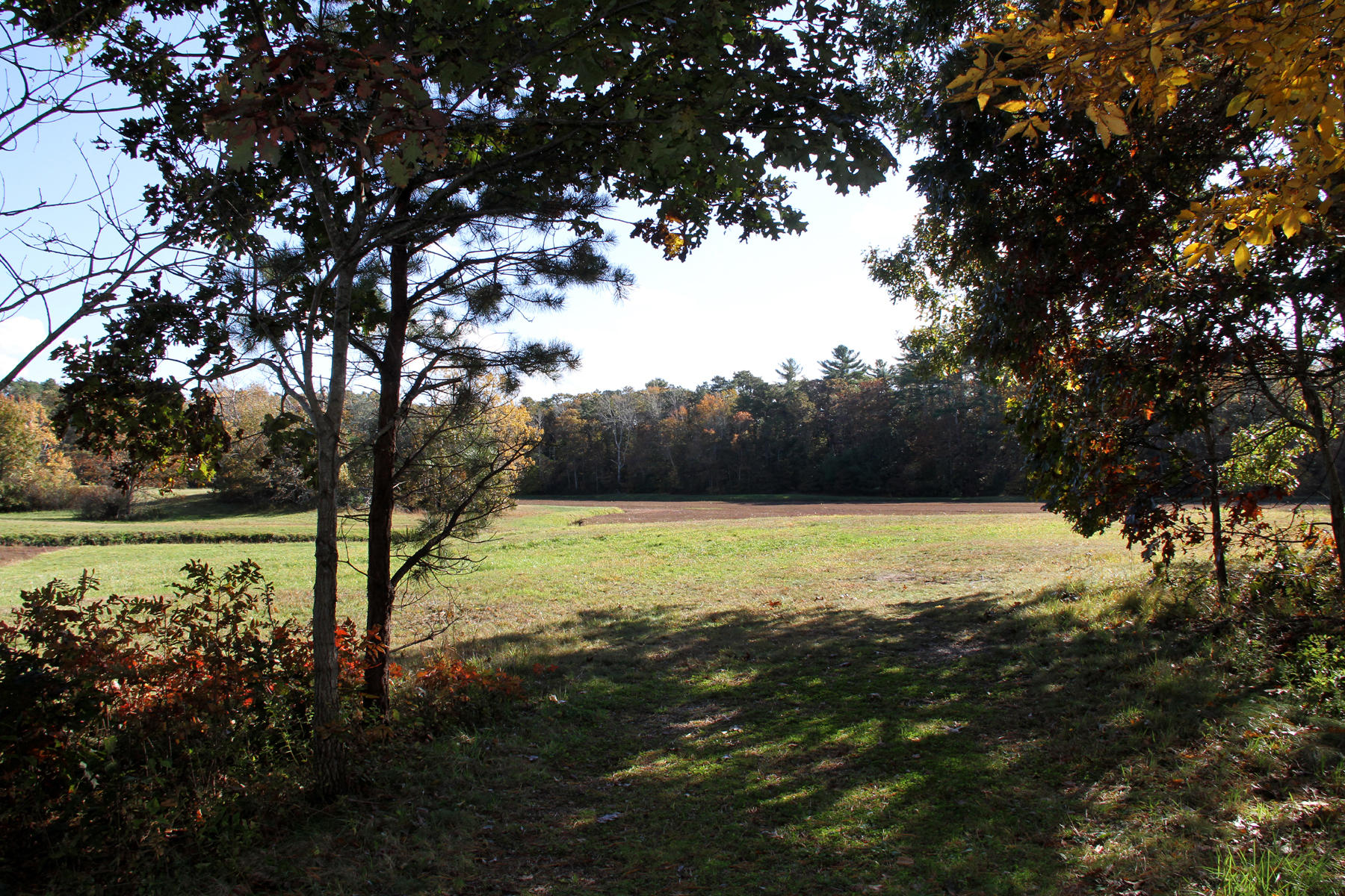 4 Cranberry Lane Mashpee, MA 02649 - Photo 10 of 16 IMG_6413
