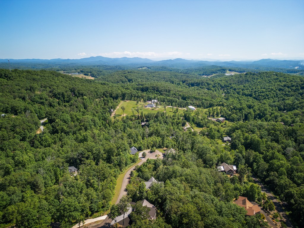 141 Long View Lane Blue Ridge, GA 30513 - Photo 41 of 44