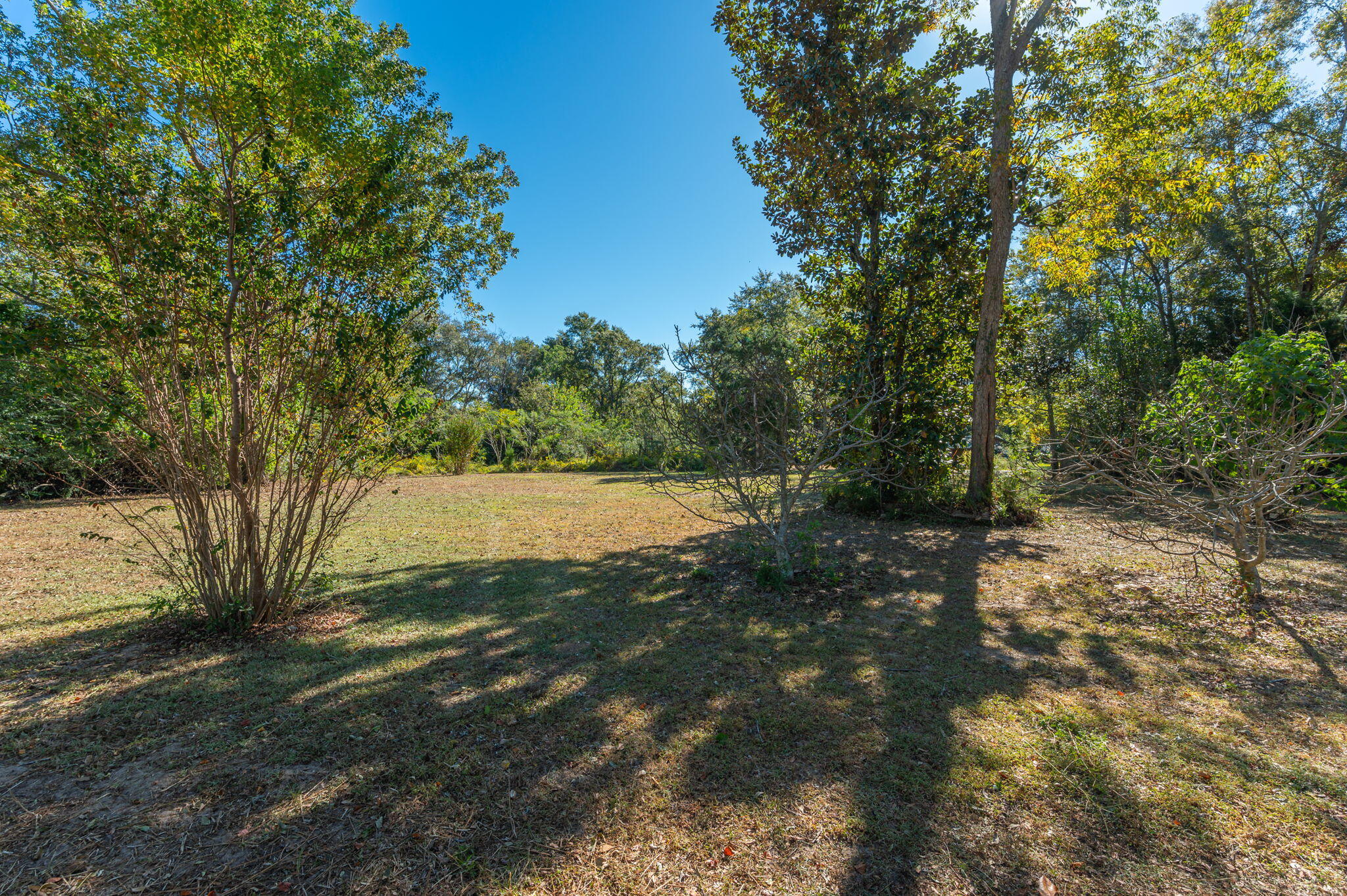 1-3 Monroe Street Baker, FL 32531 - Photo 11 of 19 a view of backyard with green space