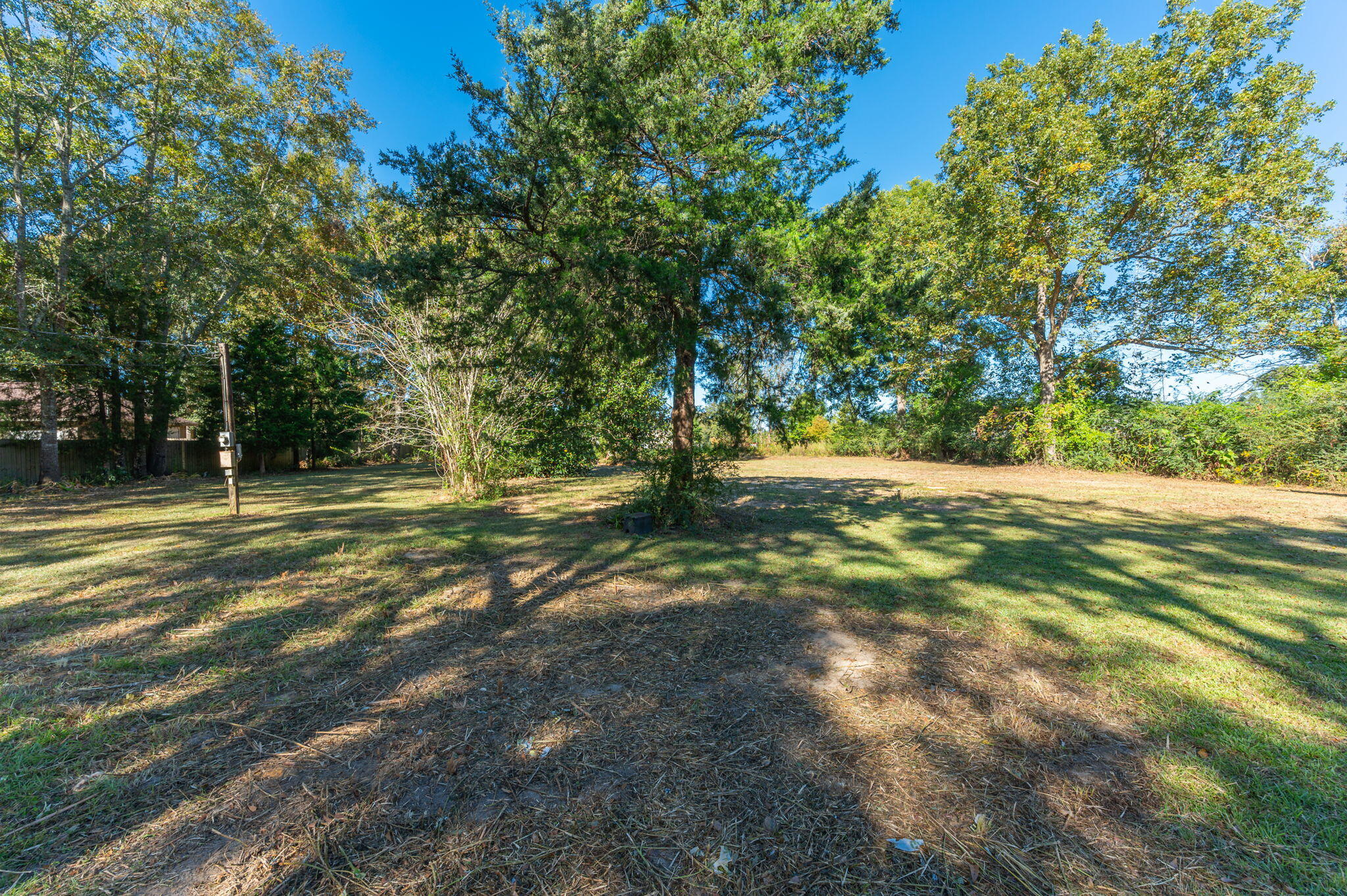 1-3 Monroe Street Baker, FL 32531 - Photo 4 of 19 a view of a tree with a yard