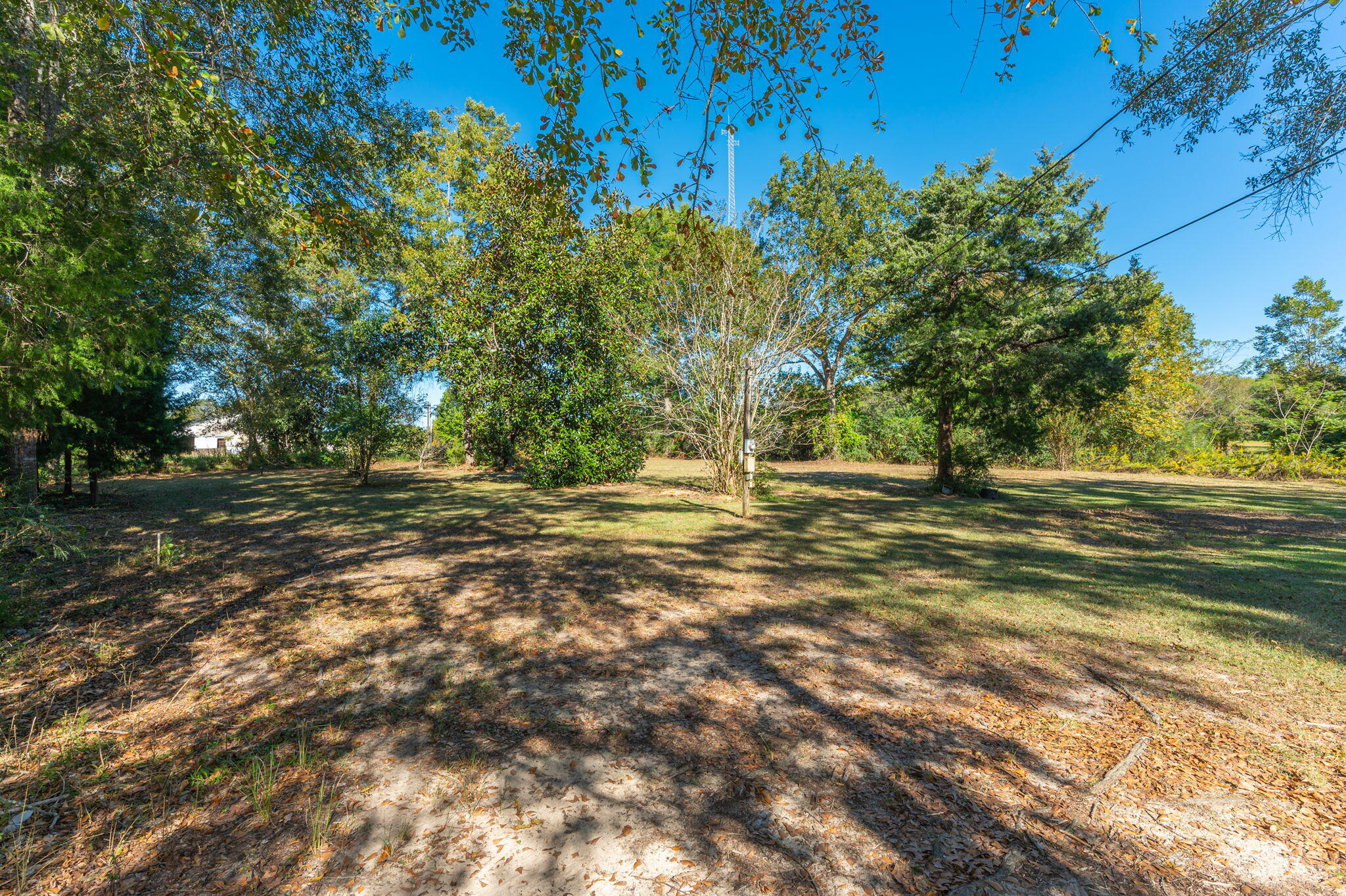 1-3 Monroe Street Baker, FL 32531 - Photo 6 of 19 a view of outdoor space with trees