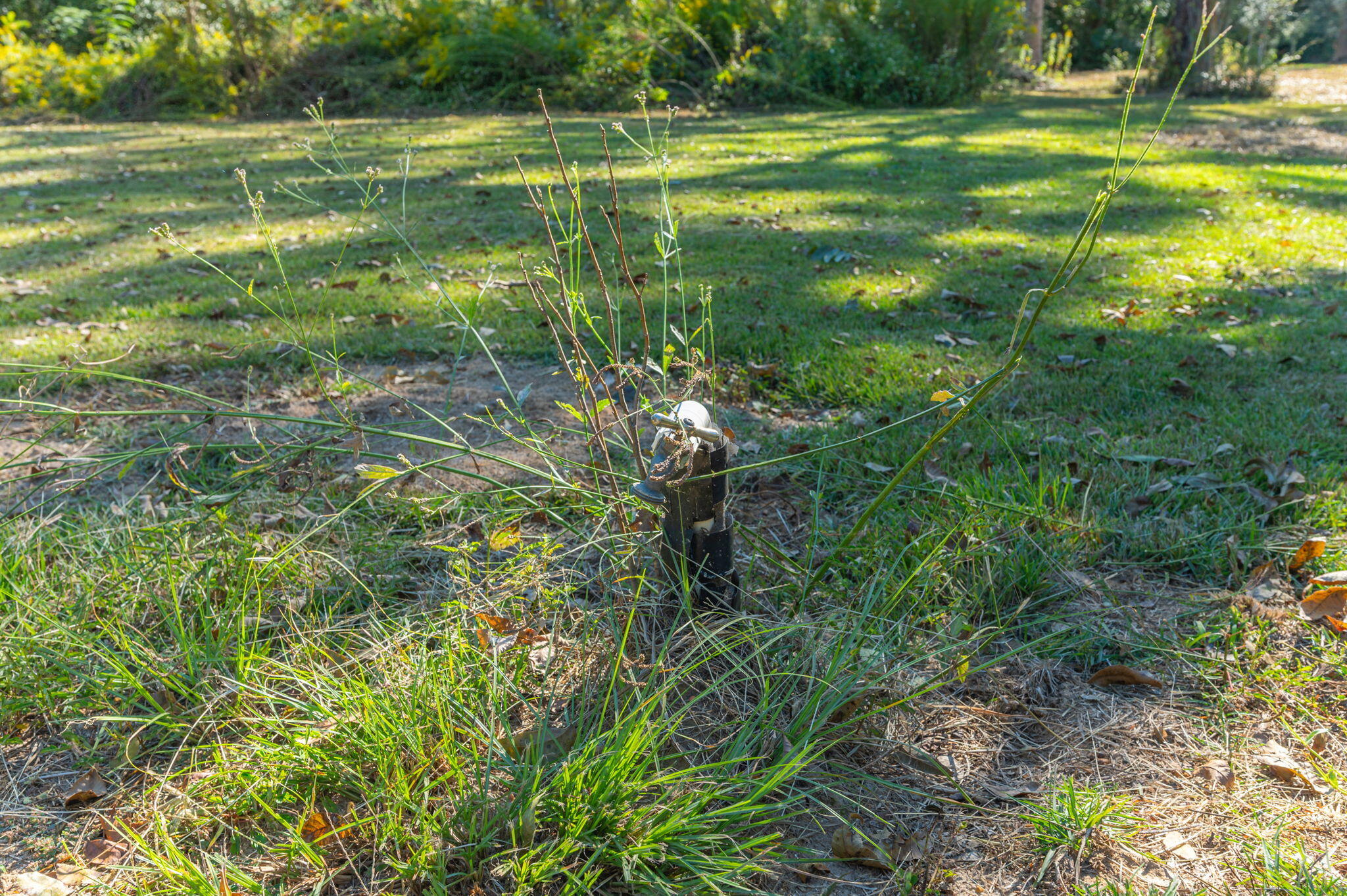 1-3 Monroe Street Baker, FL 32531 - Photo 8 of 19 a view of a golf course with a lake