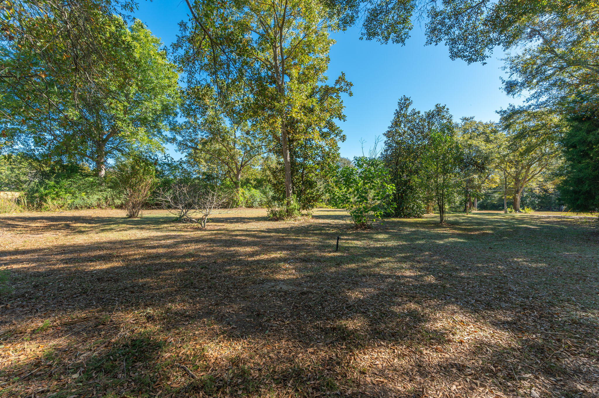 1-3 Monroe Street Baker, FL 32531 - Photo 10 of 19 a view of outdoor space and yard
