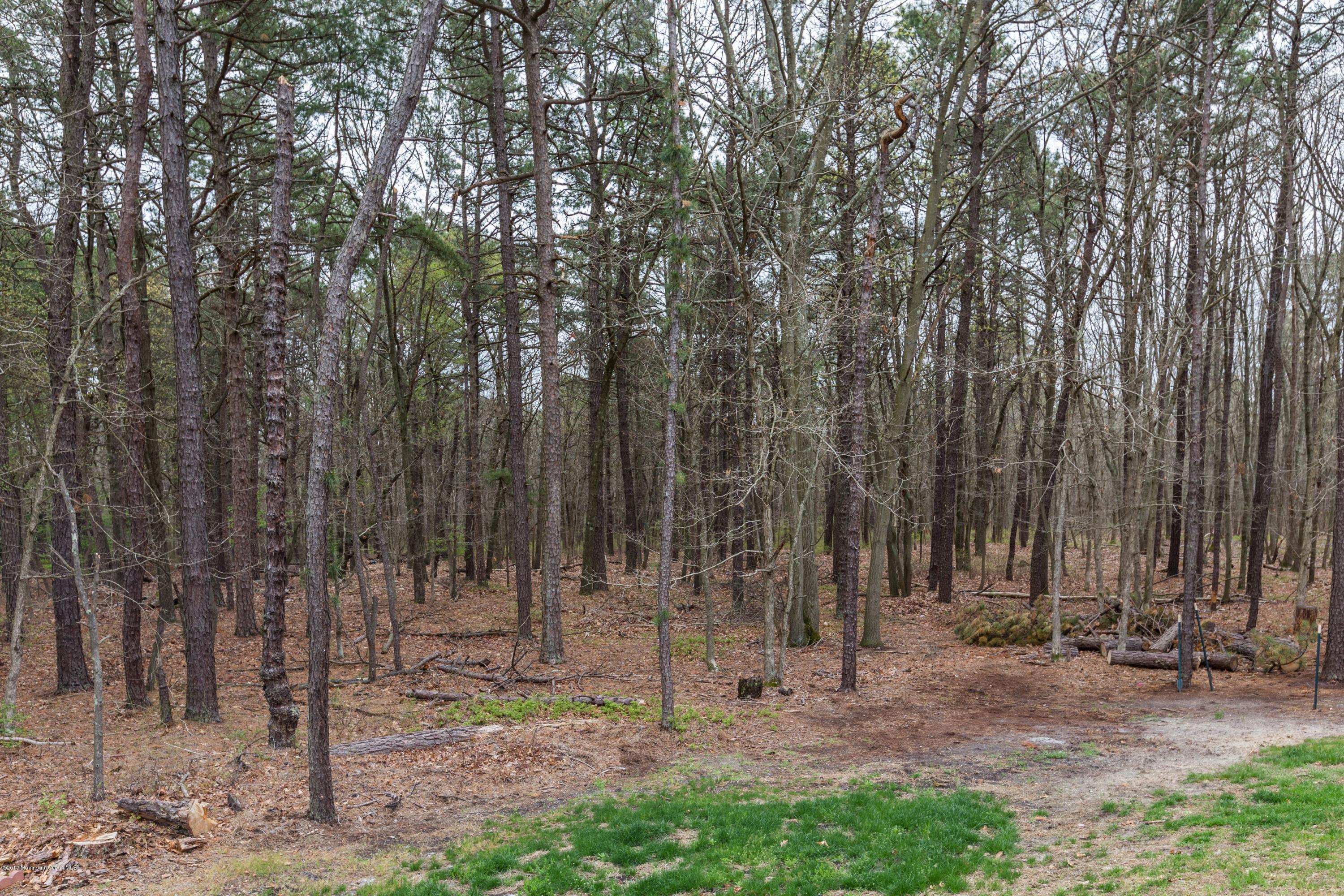 521 Indiero Road Jackson, NJ 08527 - Photo 21 of 25 051_521_Indiero_Road_195028_238838