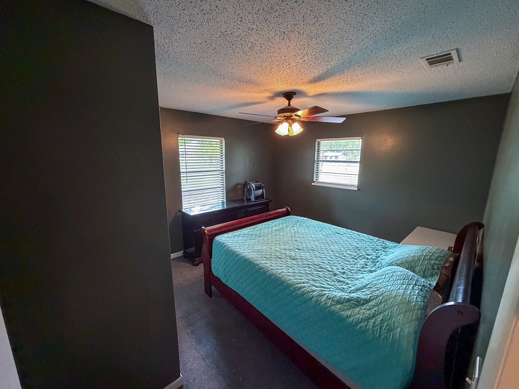 180 South Rex Slocomb, AL 36375 - Photo 13 of 44
