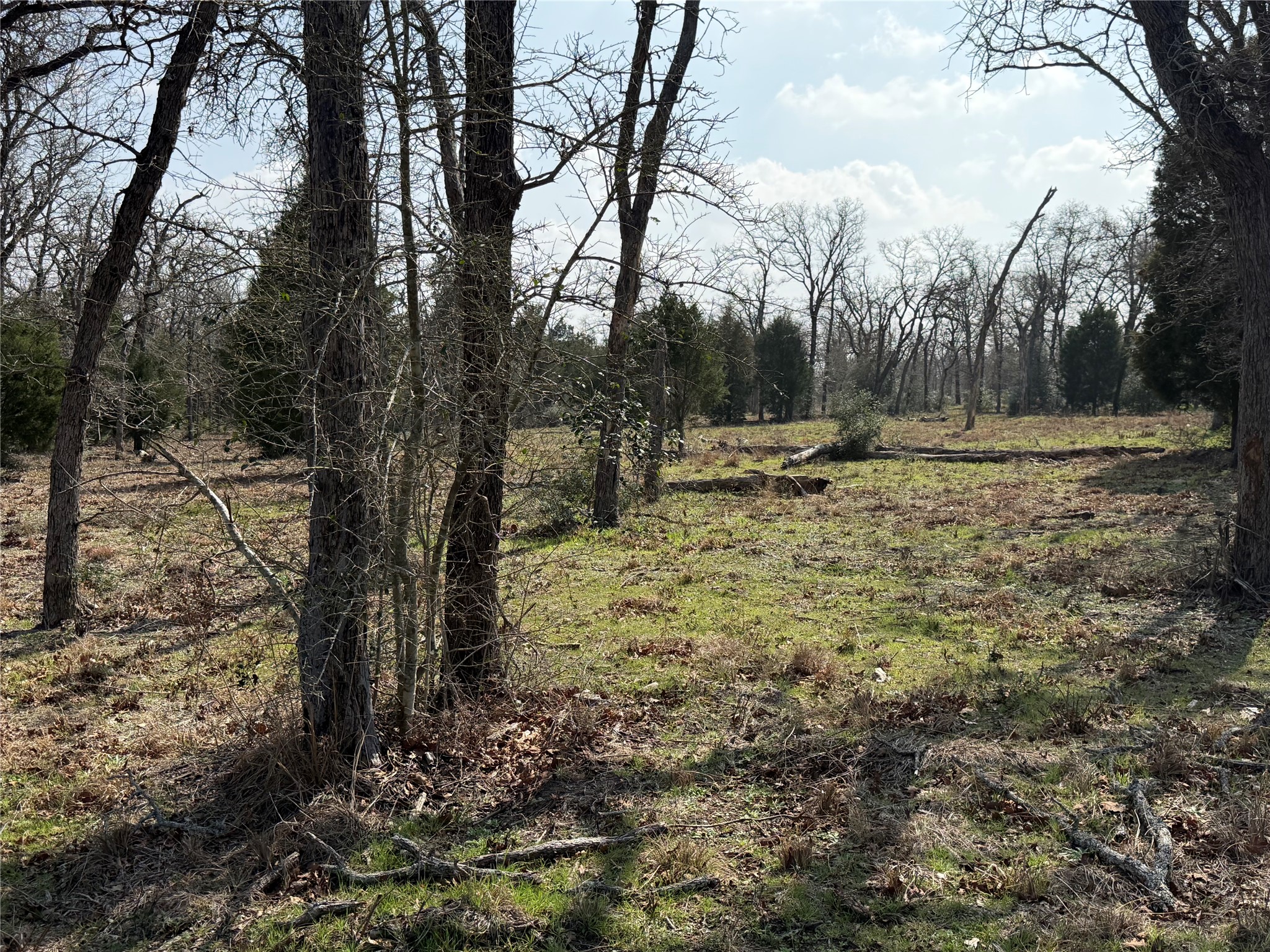View of local wilderness