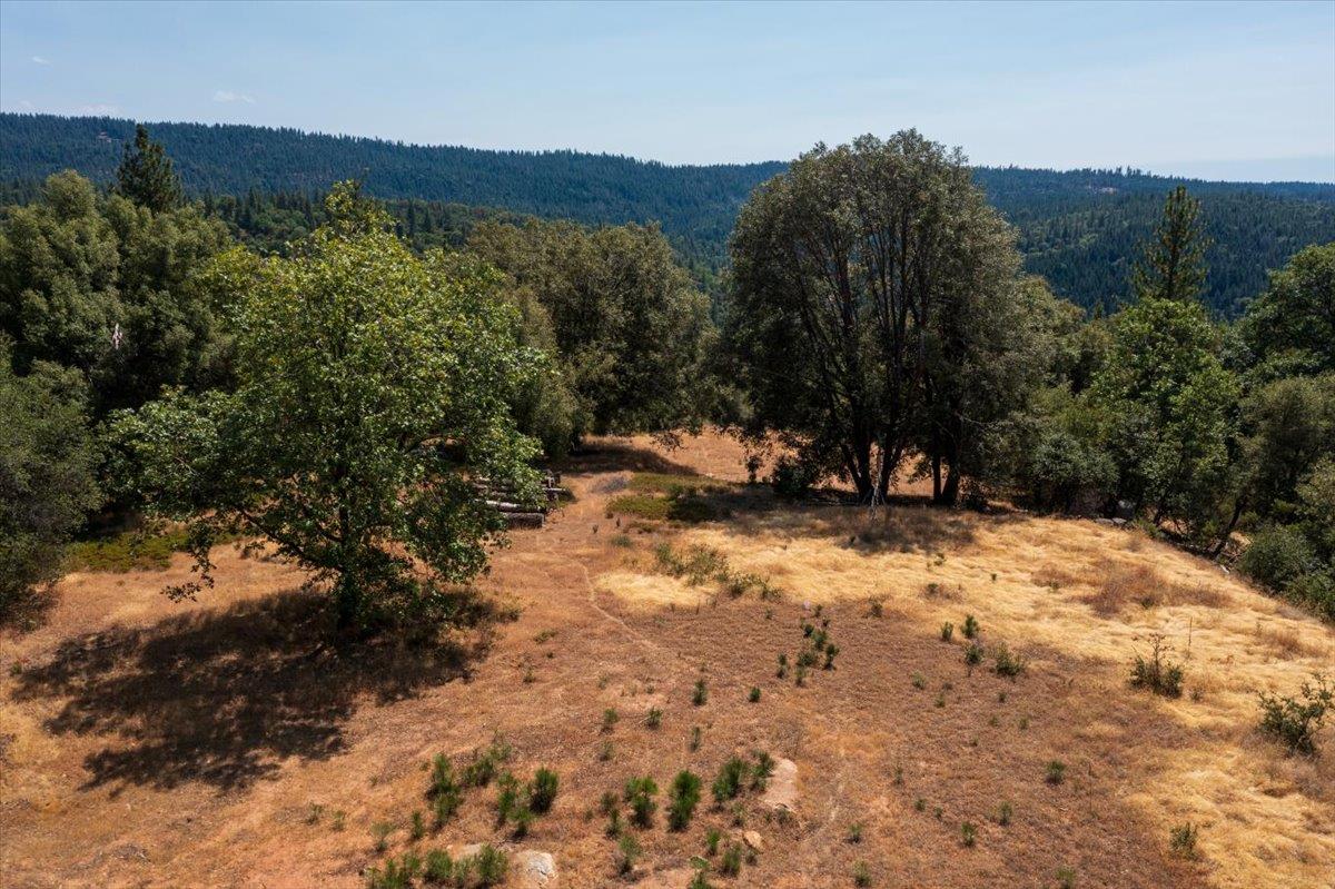 a view of outdoor space with trees all around