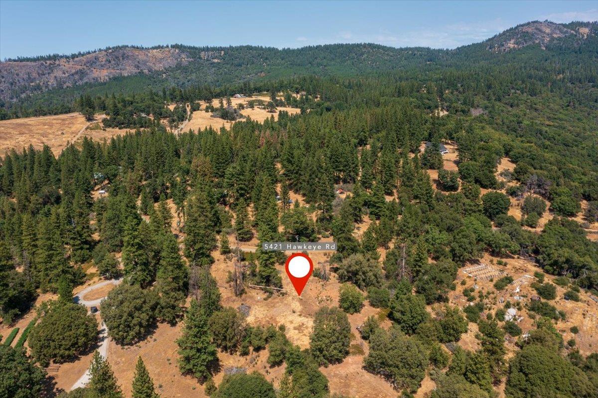 5421 Hawkeye Road Somerset, CA 95684 - Photo 12 of 17 a view of a forest with a forest