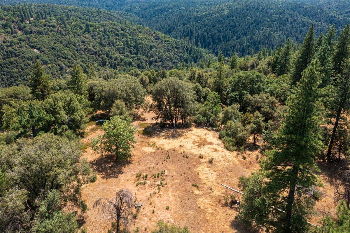 5421 Hawkeye Road Somerset, CA 95684 - Photo 17 of 17 a view of a yard with plants and large trees