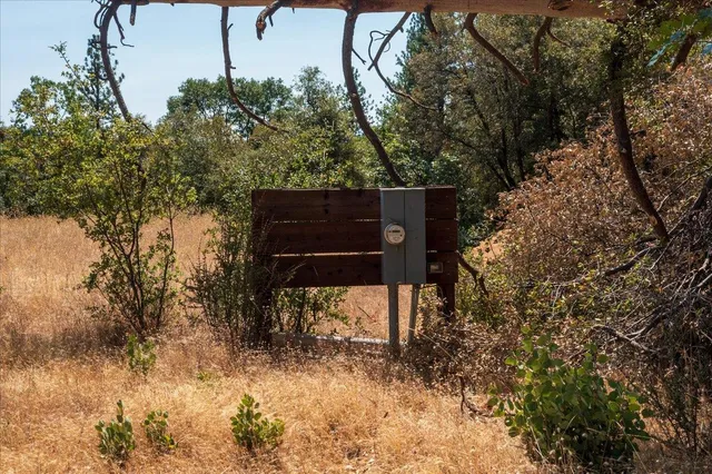 a view of a bench in a garden