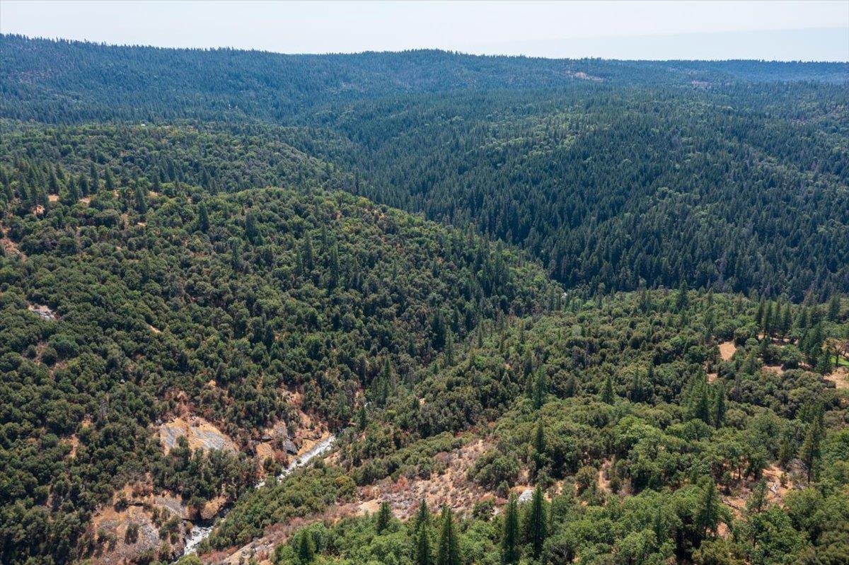 5421 Hawkeye Road Somerset, CA 95684 - Photo 6 of 17 a view of a lush green forest with trees and some houses