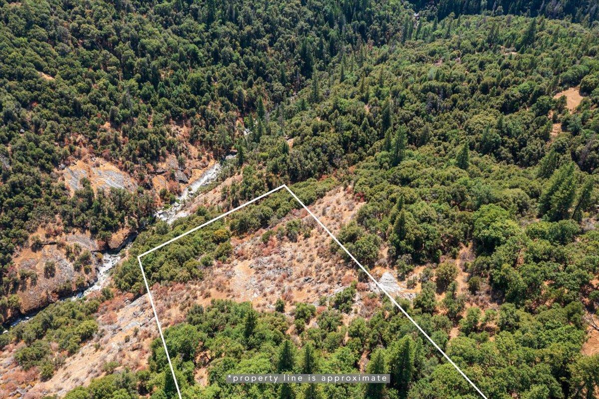 5421 Hawkeye Road Somerset, CA 95684 - Photo 7 of 17 a view of a forest with a tree