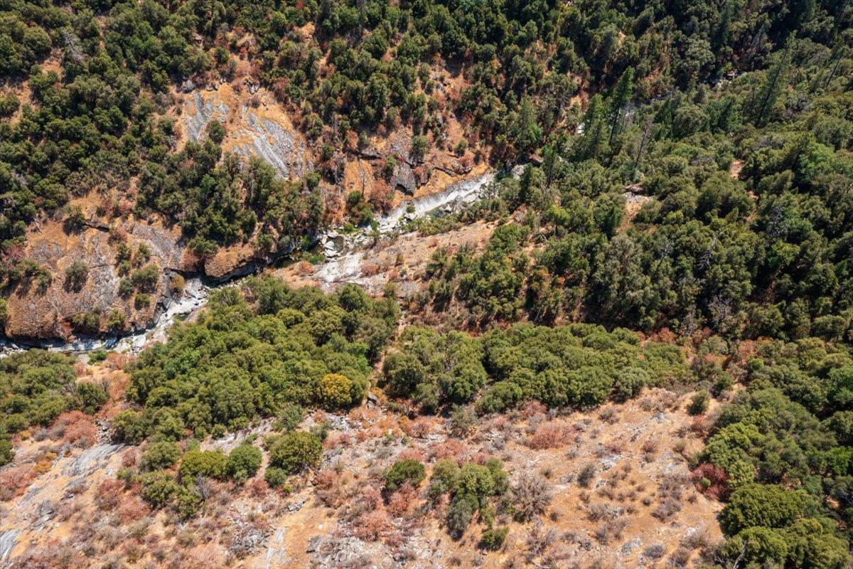 5421 Hawkeye Road Somerset, CA 95684 - Photo 8 of 17 a view of a yard with a tree