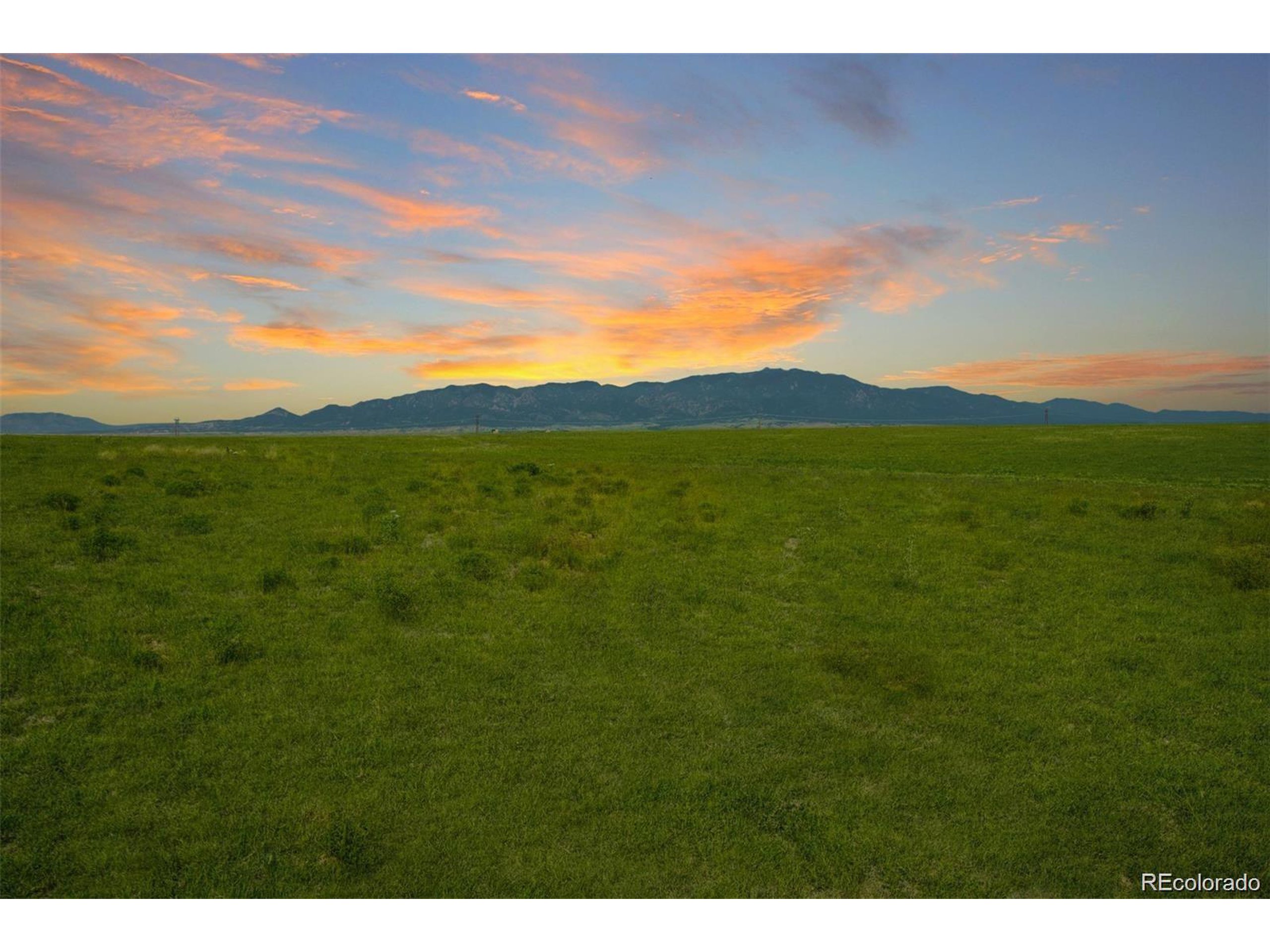 a view of an ocean from a yard