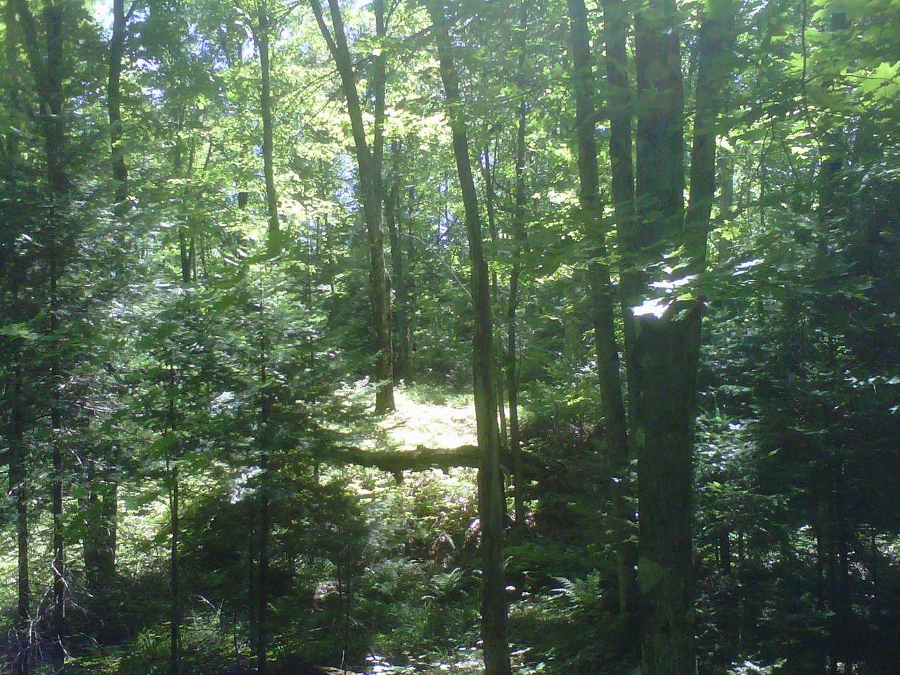 Lot 29 Gemstone Road Presque Isle, WI 54557 - Photo 10 of 12 Gallery Image 10