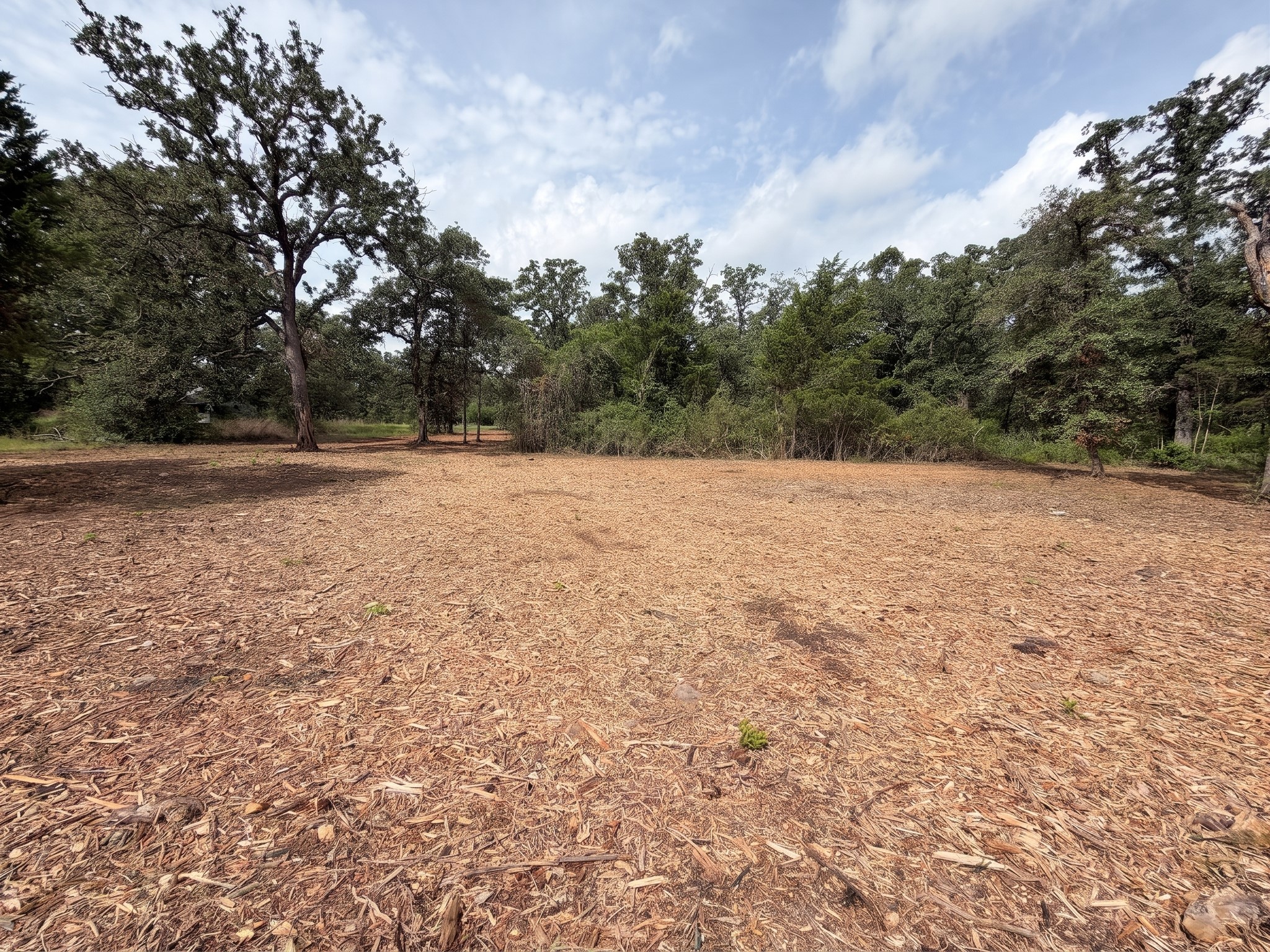 3428 (2.528 Acres In Lin Luce Ranches Milano, TX 76556 - Photo 3 of 23 A cleared, level lot awaits your vision, framed by mature, verdant trees.