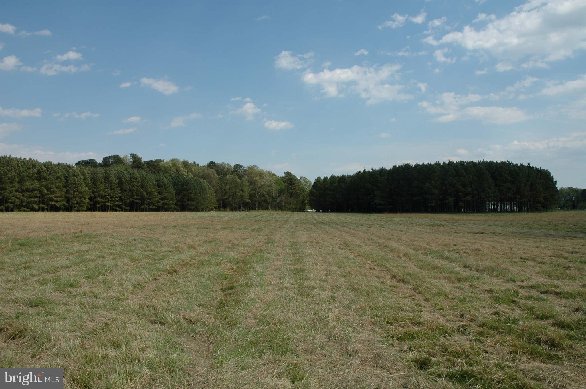 Jane Lowe Road Wittman, MD 21676 - Photo 5 of 5 View