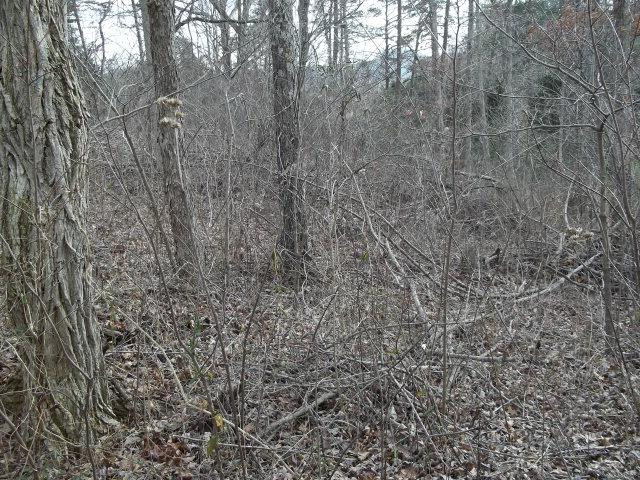 328 Log Cabin Road Berea, KY 40403 - Photo 1 of 1 Listing Photo