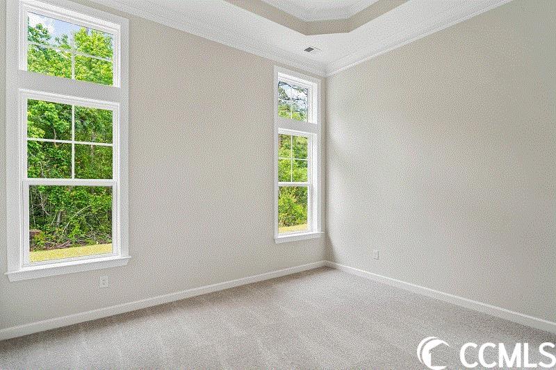 184 Starlit Way Myrtle Beach, SC 29579 - Photo 16 of 27 Gallery Image 16