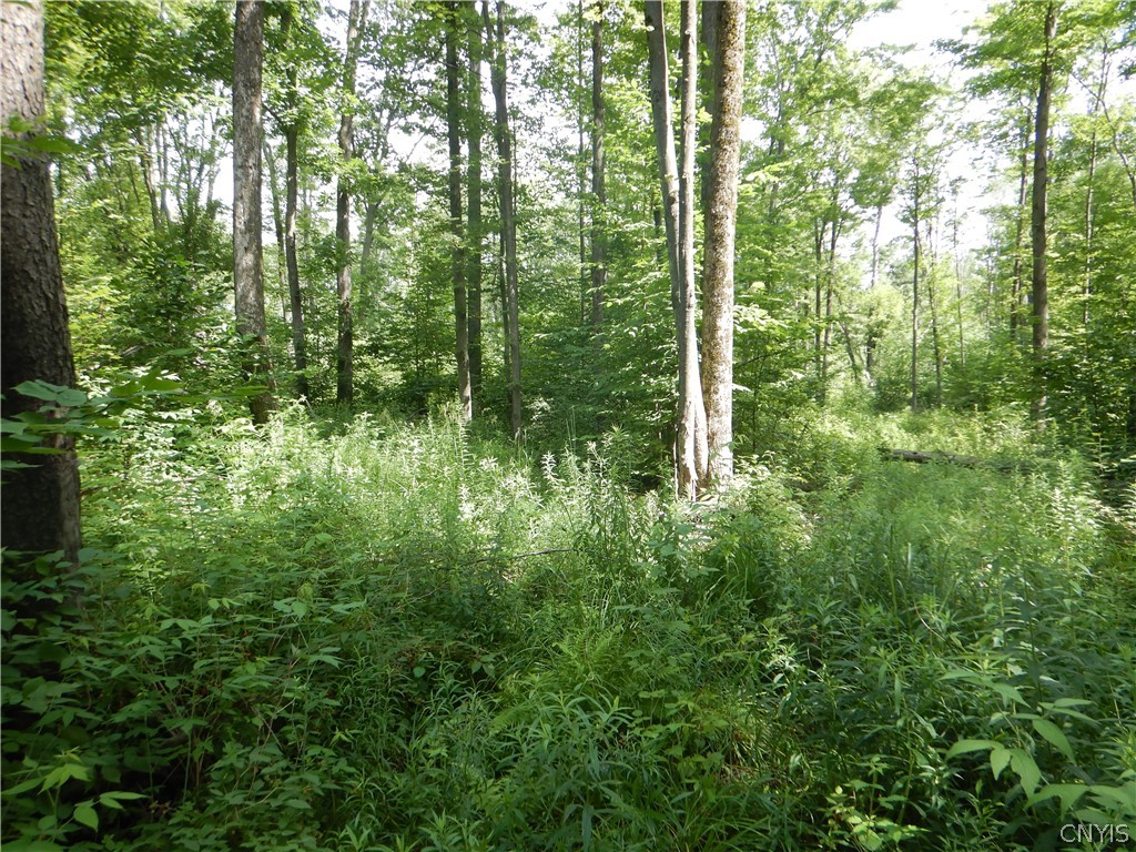 Bull Hill Road Newfield, NY 14867 - Photo 34 of 36
