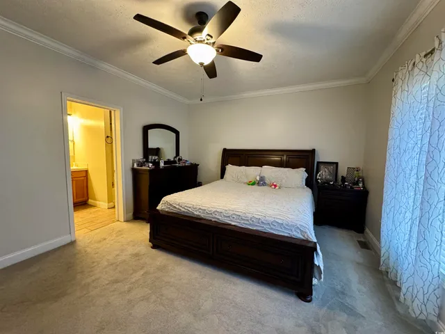 $280,000 | 393 Coleman Road, Greeleyville, SC 29056