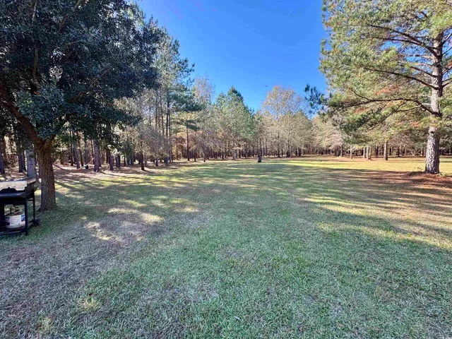 $280,000 | 393 Coleman Road, Greeleyville, SC 29056