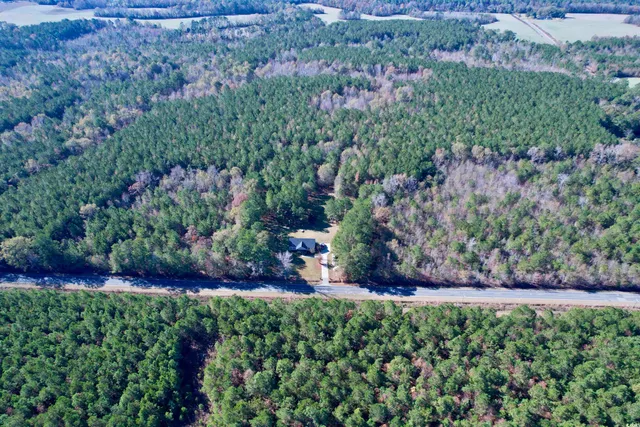 $280,000 | 393 Coleman Road, Greeleyville, SC 29056