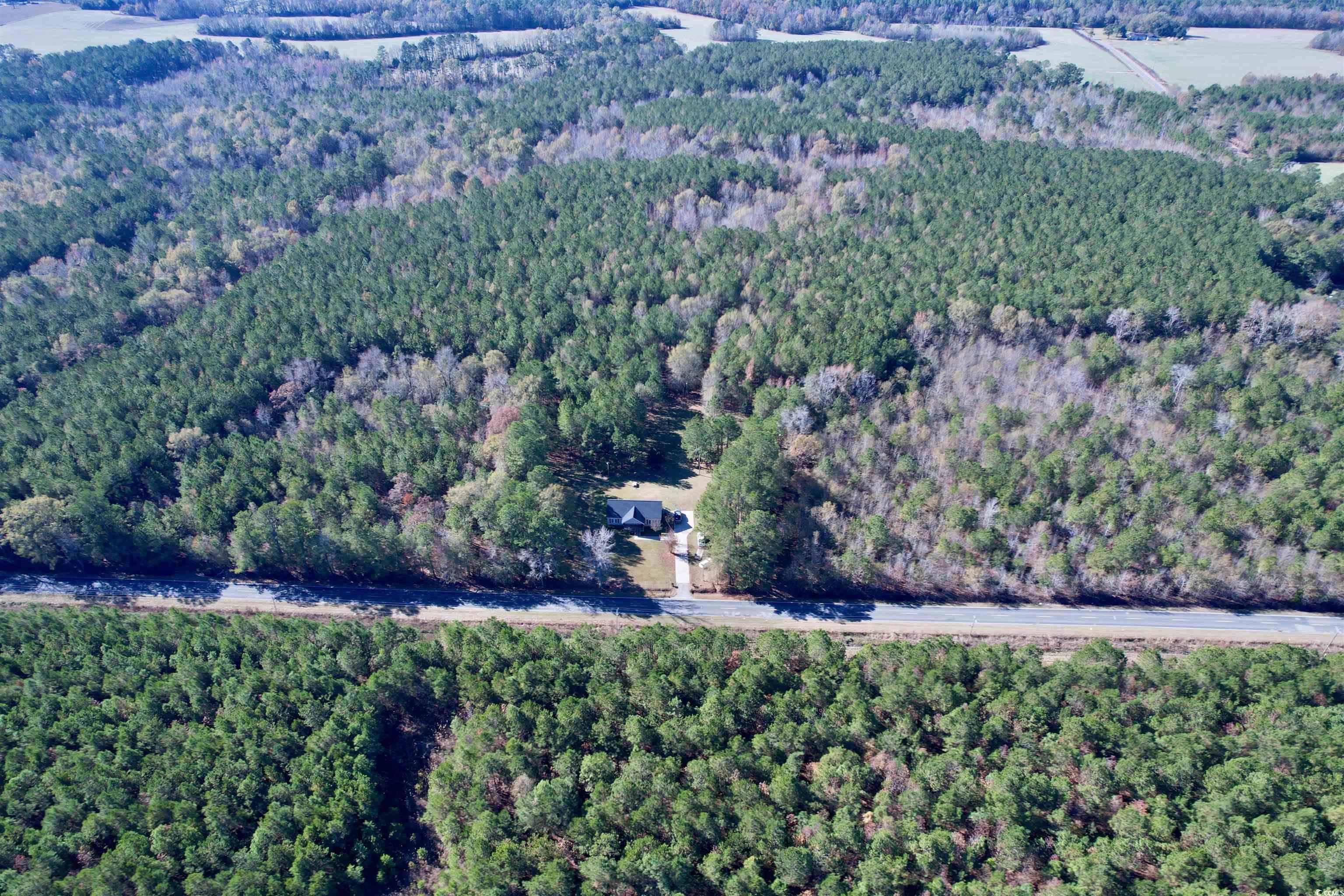 393 Coleman Road Greeleyville, SC 29056 - Photo 24 of 27