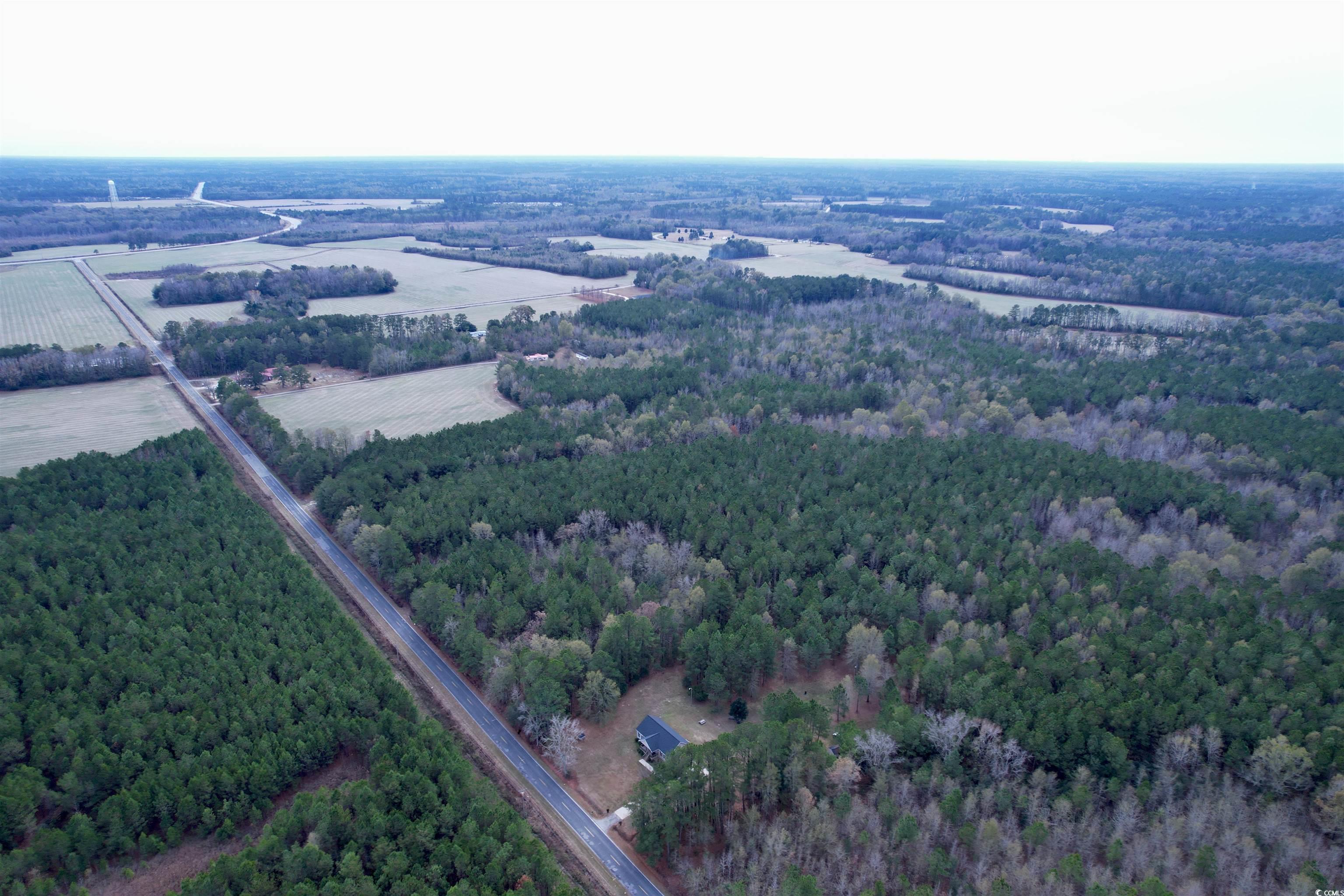 393 Coleman Road Greeleyville, SC 29056 - Photo 25 of 27