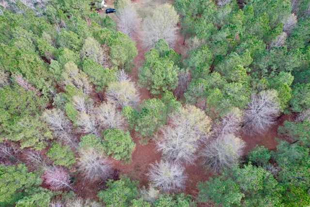 $280,000 | 393 Coleman Road, Greeleyville, SC 29056