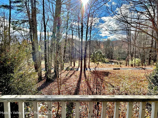 a view of a yard covered with snow in the background