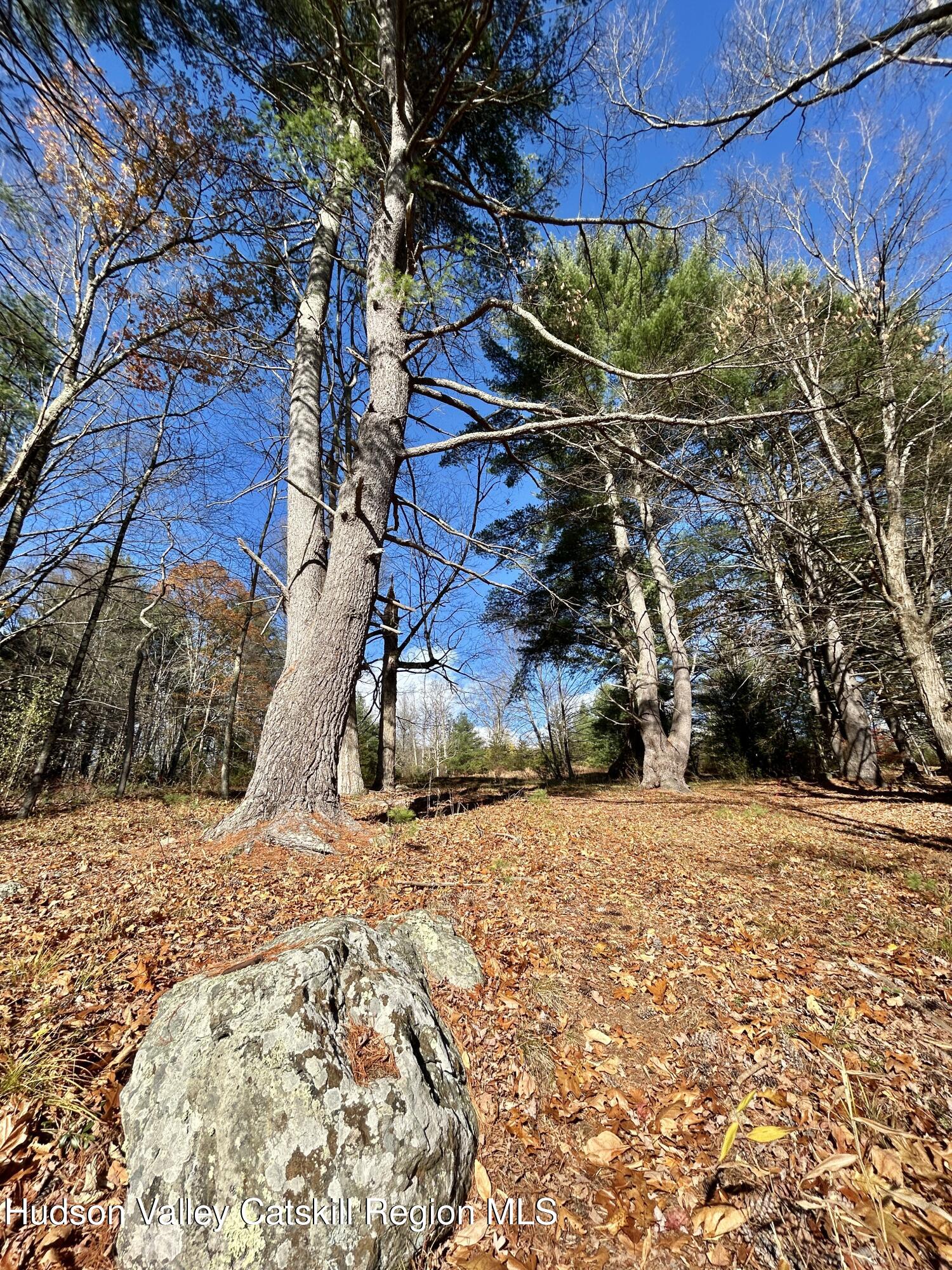 335 Tempaloni Road Ellenville, NY 12428 - Photo 18 of 26 a view of a backyard of the house