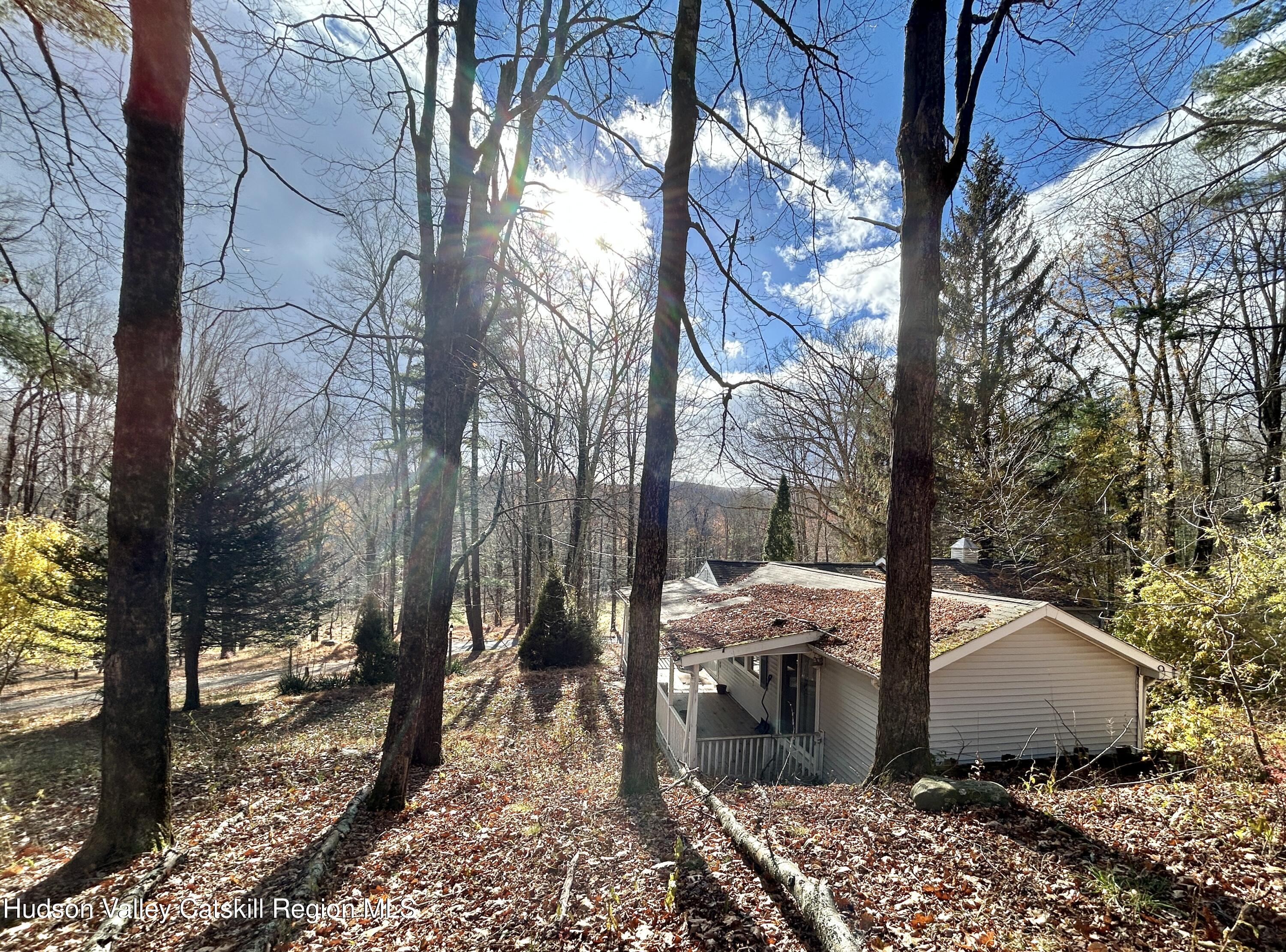335 Tempaloni Road Ellenville, NY 12428 - Photo 19 of 26 a view of a yard with plants and trees