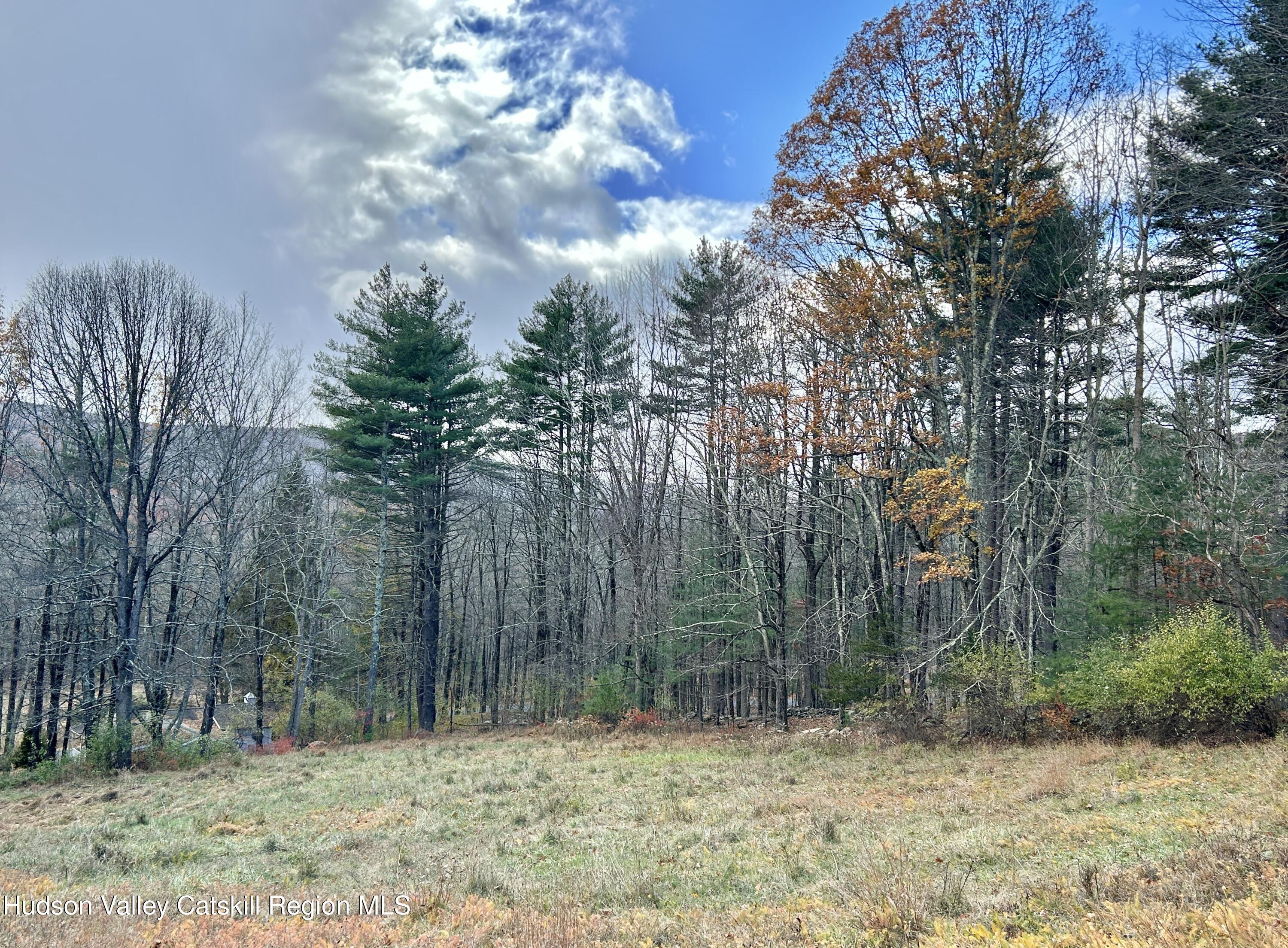 335 Tempaloni Road Ellenville, NY 12428 - Photo 20 of 26 a view of outdoor space with trees
