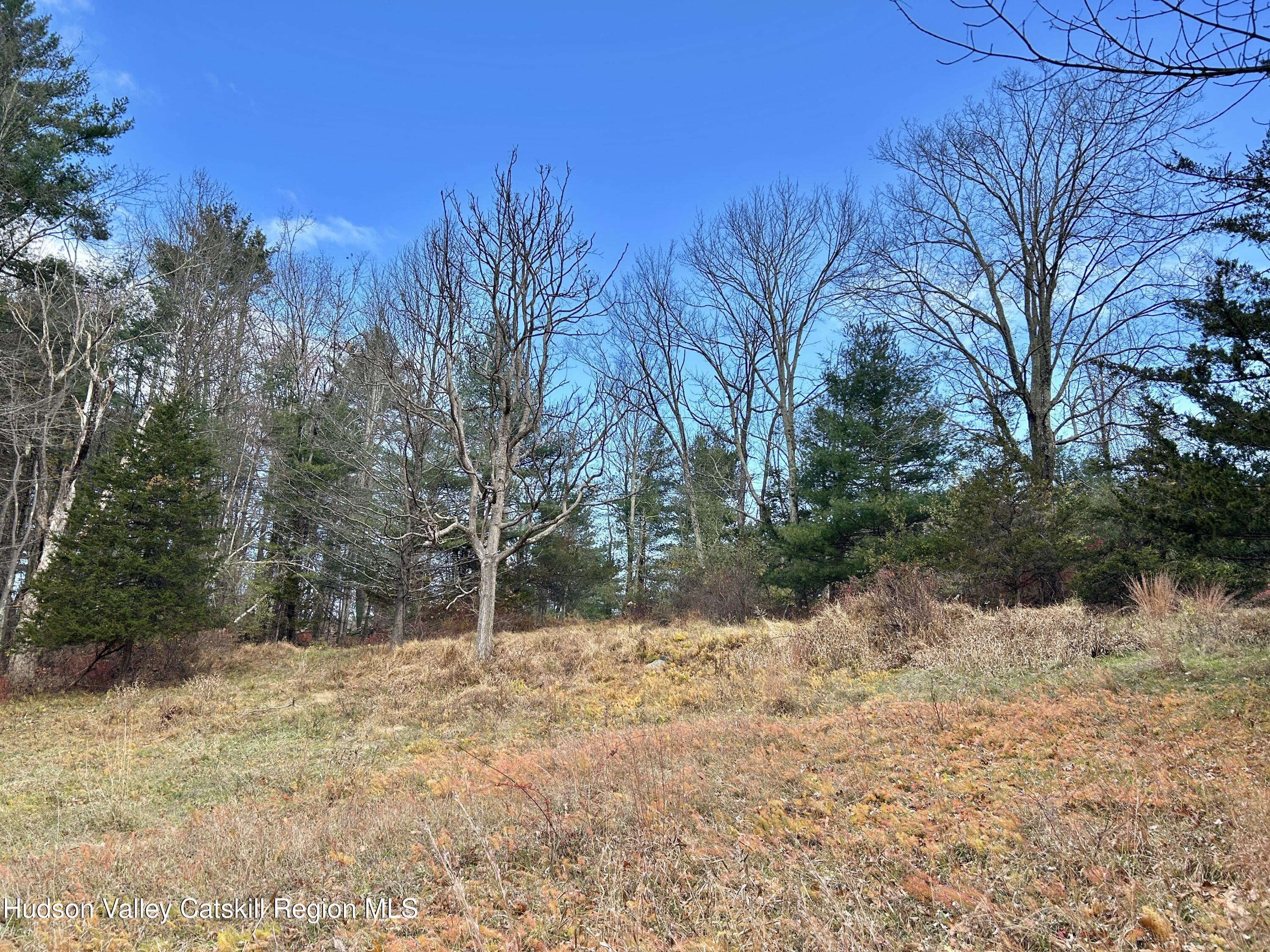 335 Tempaloni Road Ellenville, NY 12428 - Photo 21 of 26 a street view covered with snow