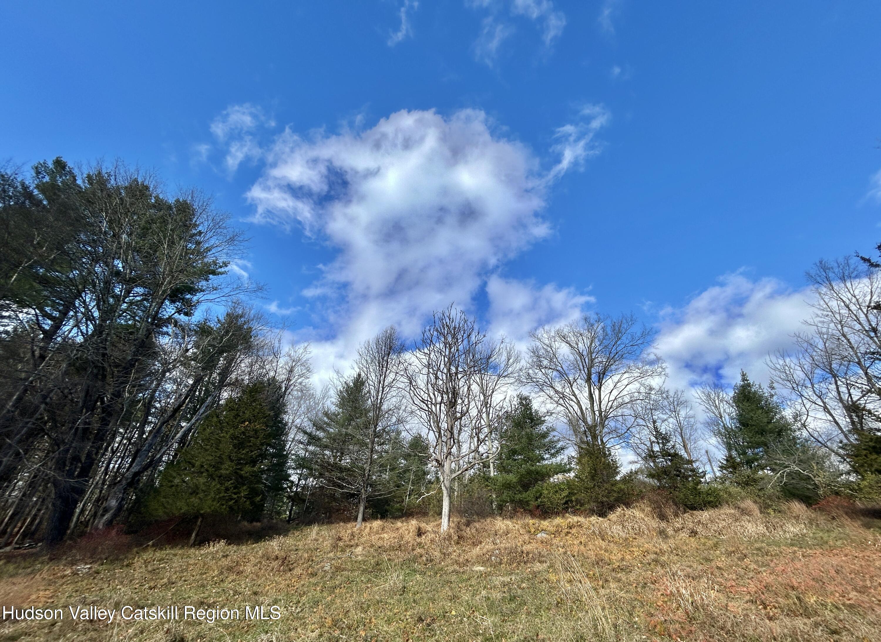 335 Tempaloni Road Ellenville, NY 12428 - Photo 22 of 26 a view of a yard