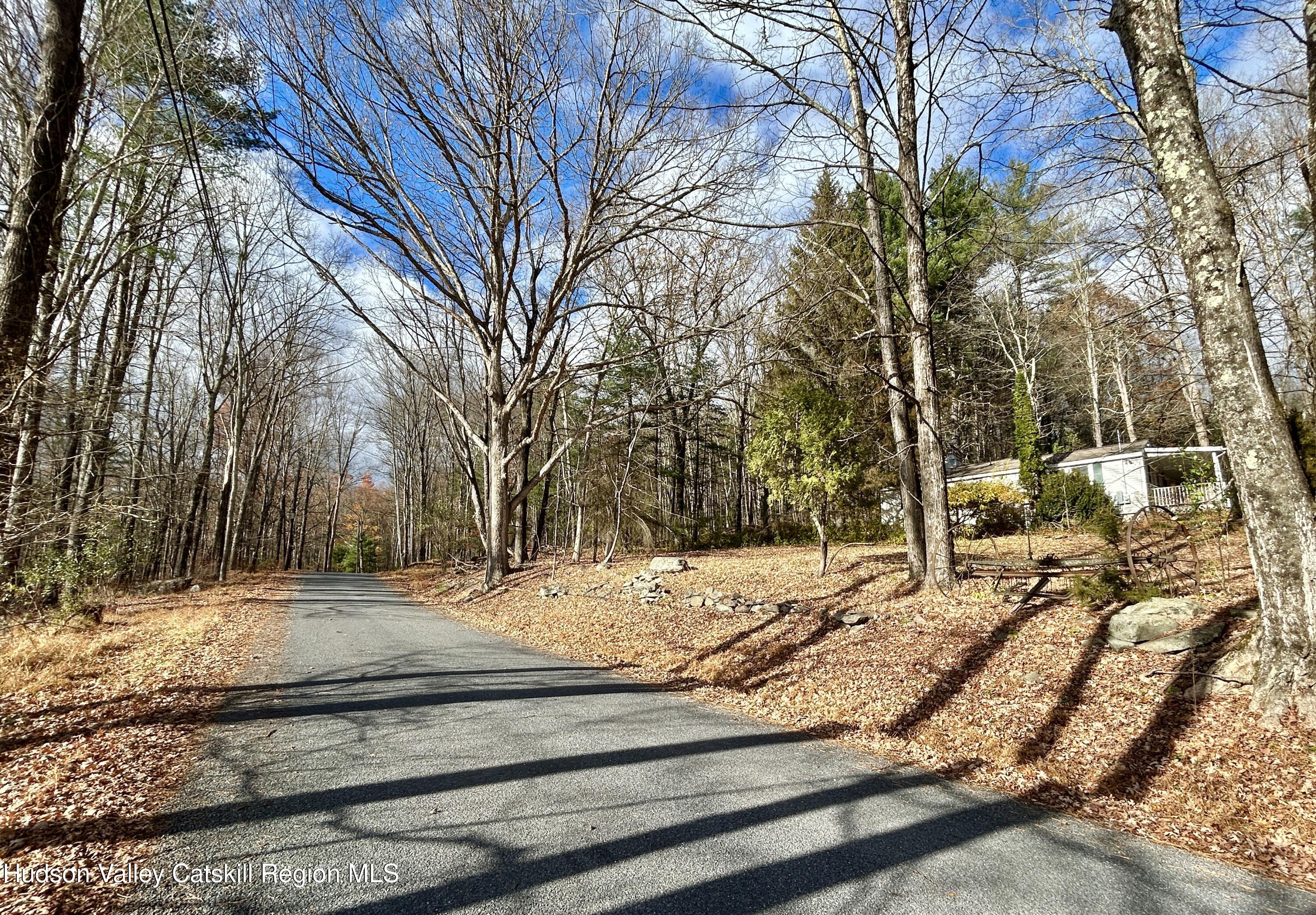 335 Tempaloni Road Ellenville, NY 12428 - Photo 23 of 26 a view of a yard with snow on the road