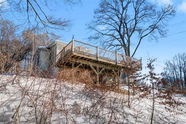 a view of a yard with plants and trees