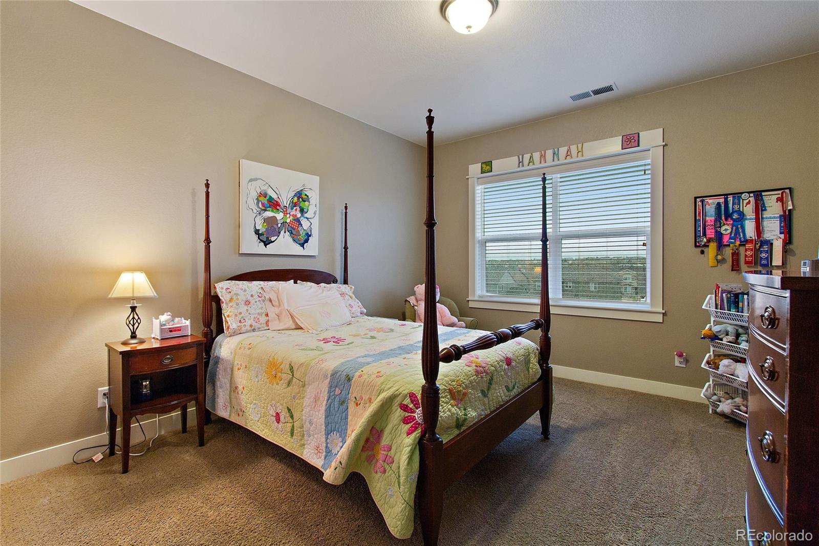 20537 East Shady Ridge Road Parker, CO 80134 - Photo 23 of 33 Gallery Image 23