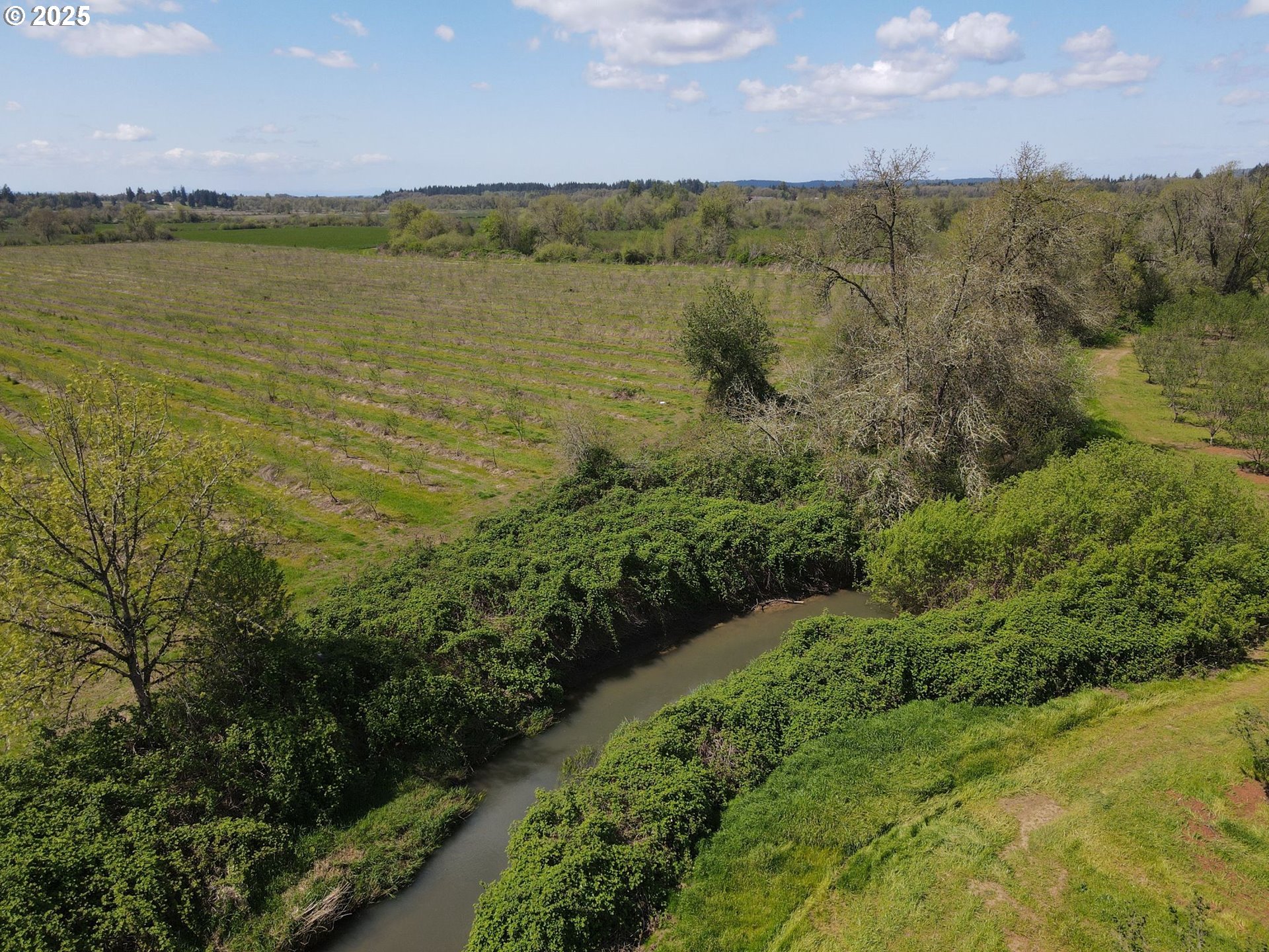 34974 Richardson Gap Road Lebanon, OR 97355 - Photo 11 of 21