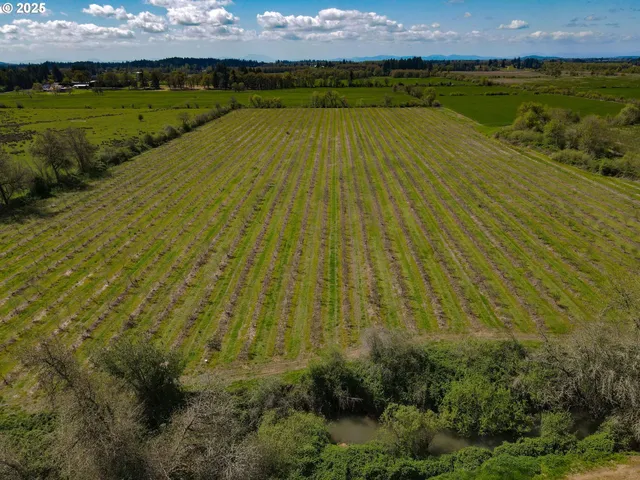 $1,295,000 | 34974 Richardson Gap Road, Lebanon, OR 97355