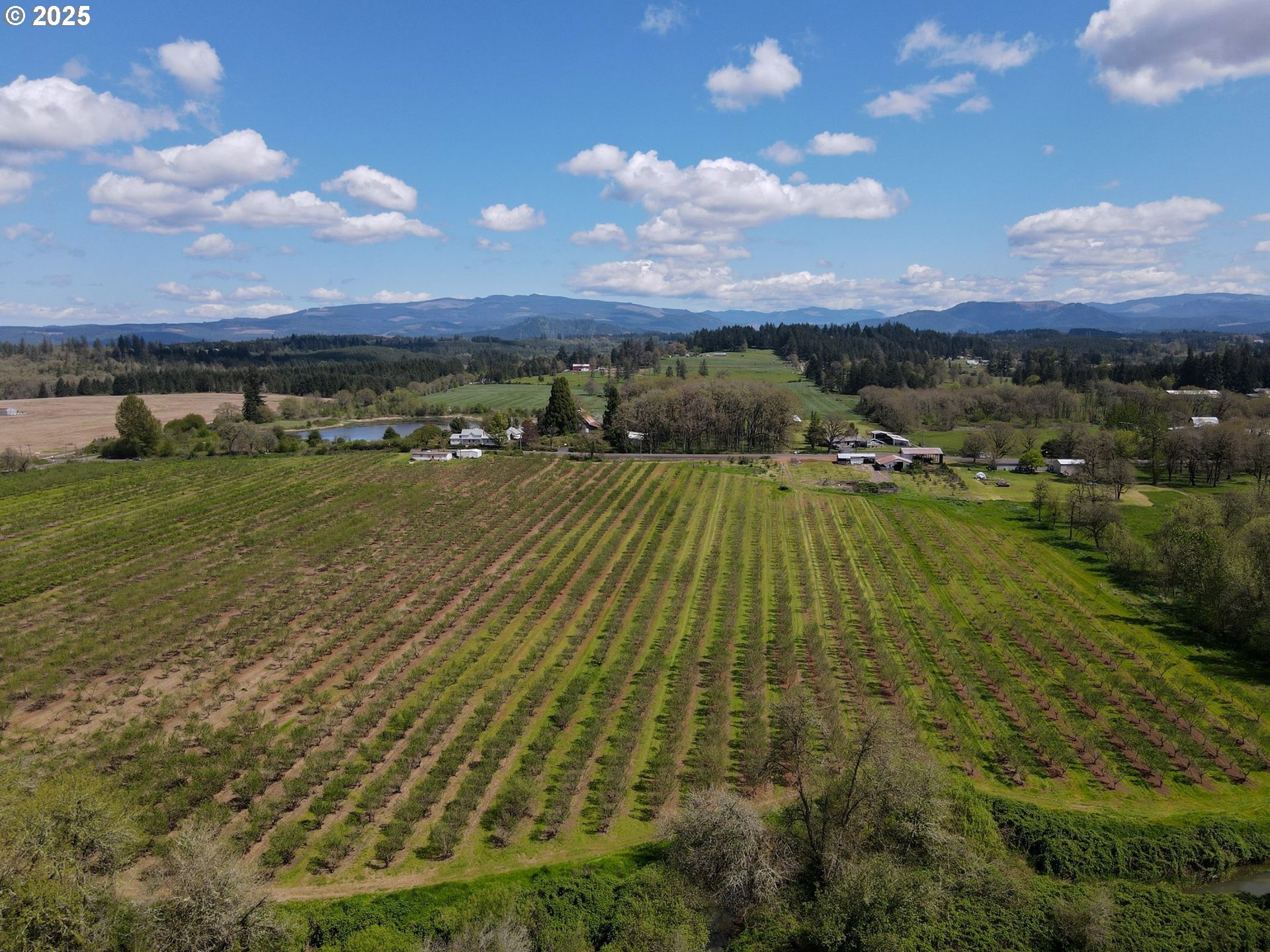 34974 Richardson Gap Road Lebanon, OR 97355 - Photo 13 of 21