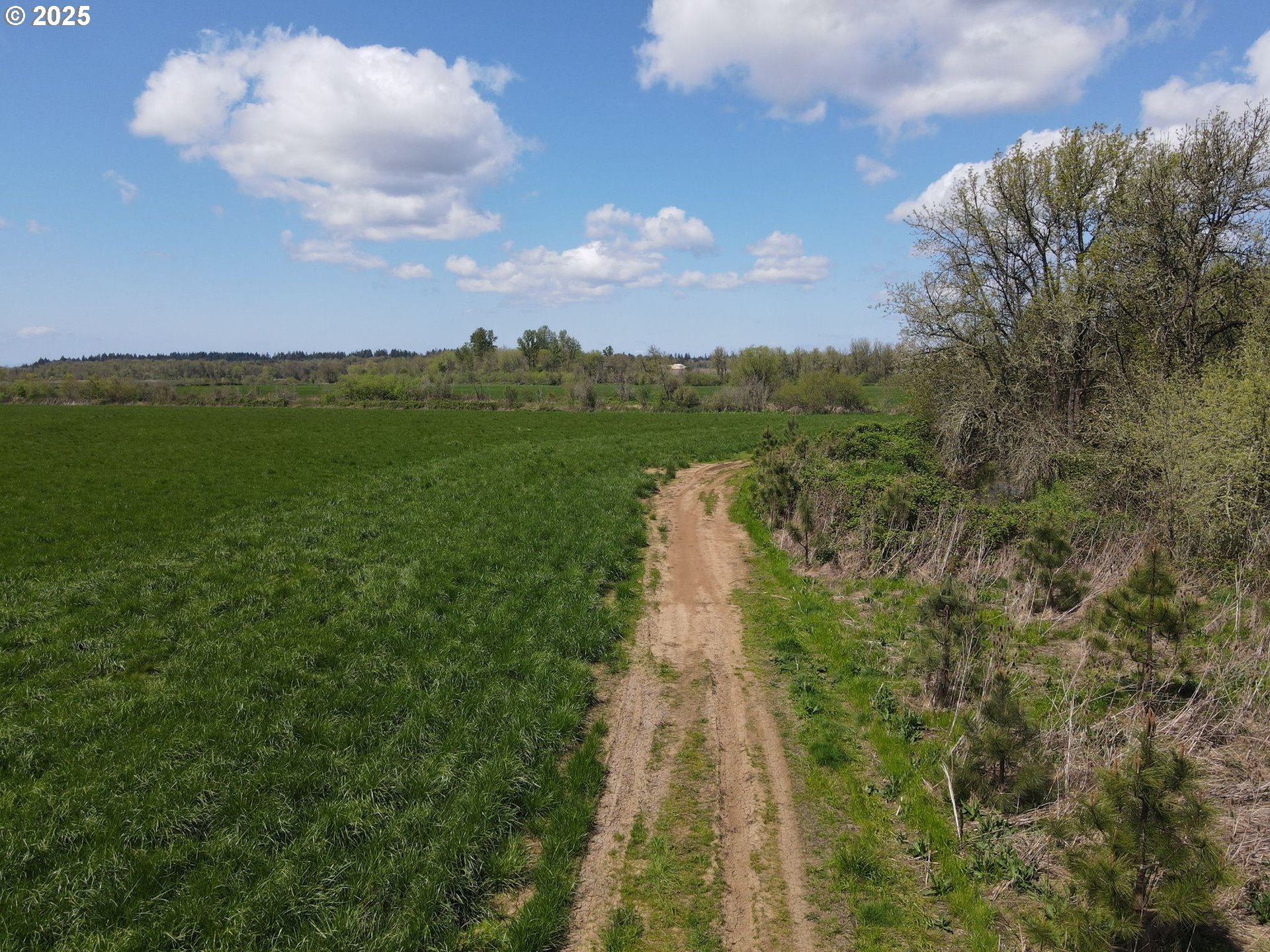 34974 Richardson Gap Road Lebanon, OR 97355 - Photo 15 of 21