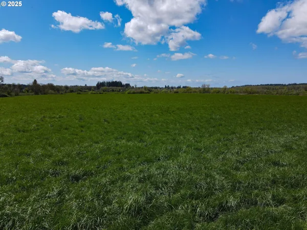 $1,295,000 | 34974 Richardson Gap Road, Lebanon, OR 97355