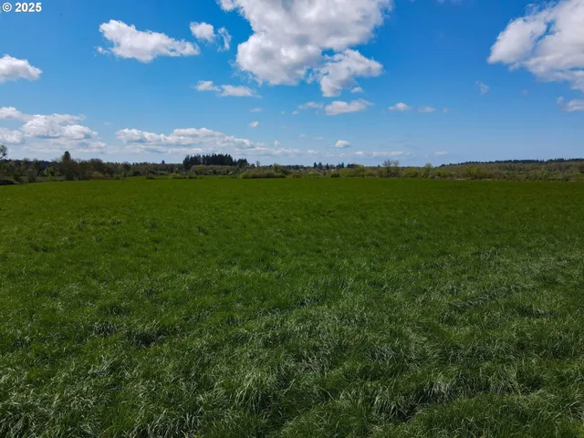 $1,295,000 | 34974 Richardson Gap Road, Lebanon, OR 97355