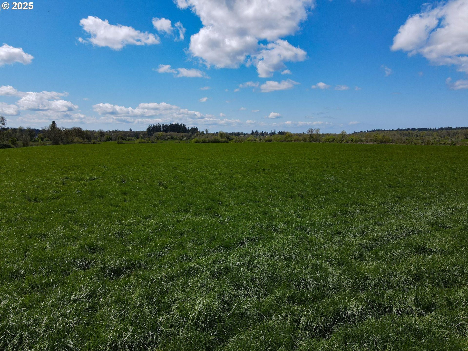 34974 Richardson Gap Road Lebanon, OR 97355 - Photo 16 of 21